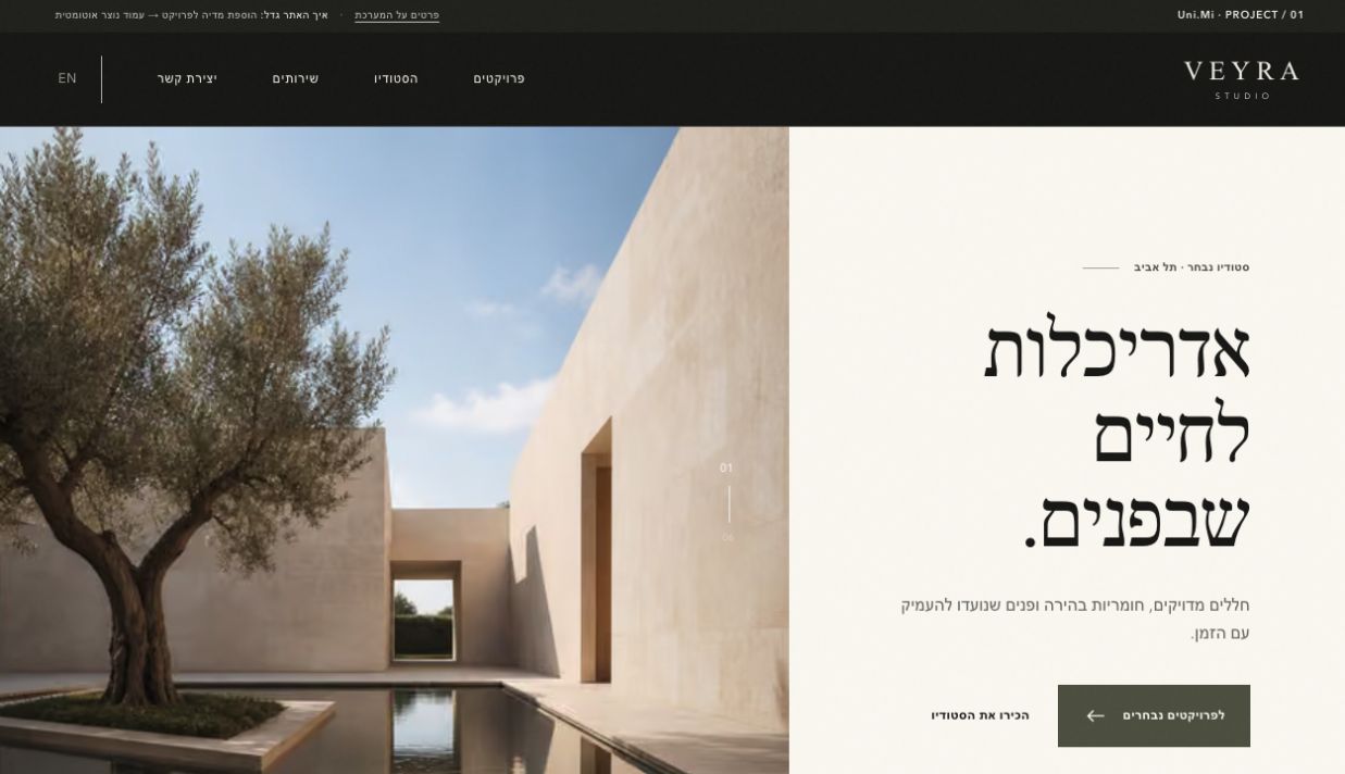 תצוגת PROJECT / 01 עבור סטודיו האדריכלות הפיקטיבי VEYRA